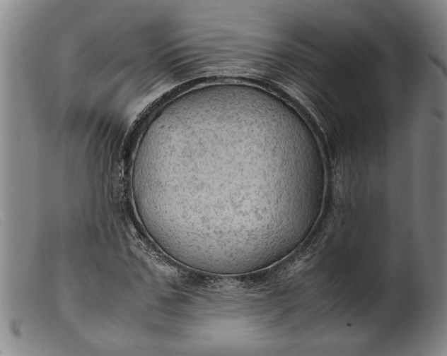 X0000099410971200805231600