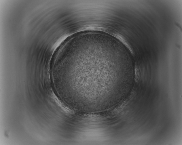 X0000099410972200805231600