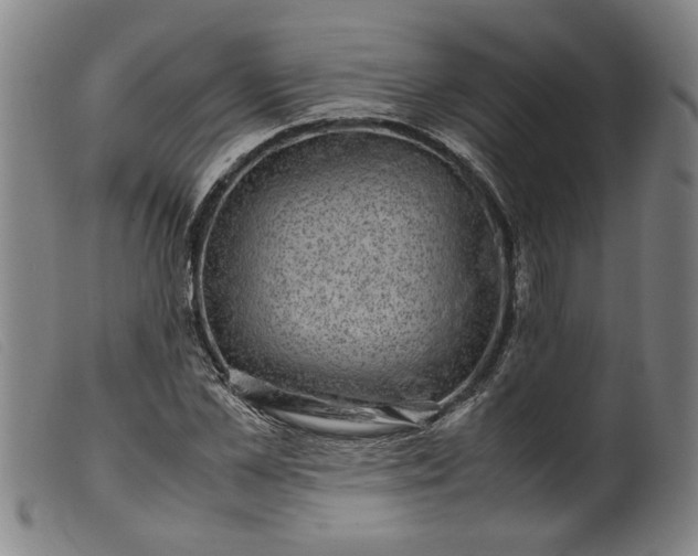 X0000099410973200805231600