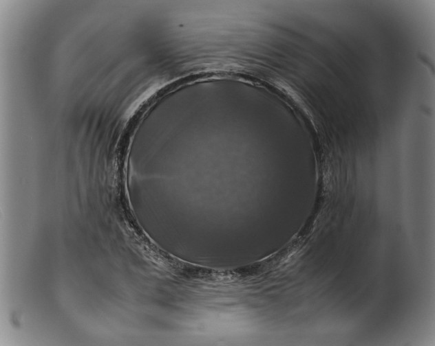 X0000099410975200805231600