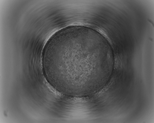 X0000099410976200805231600