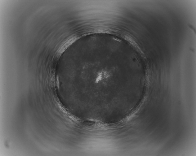 X0000099410977200805231600