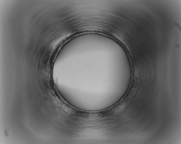 X0000099410979200805231600