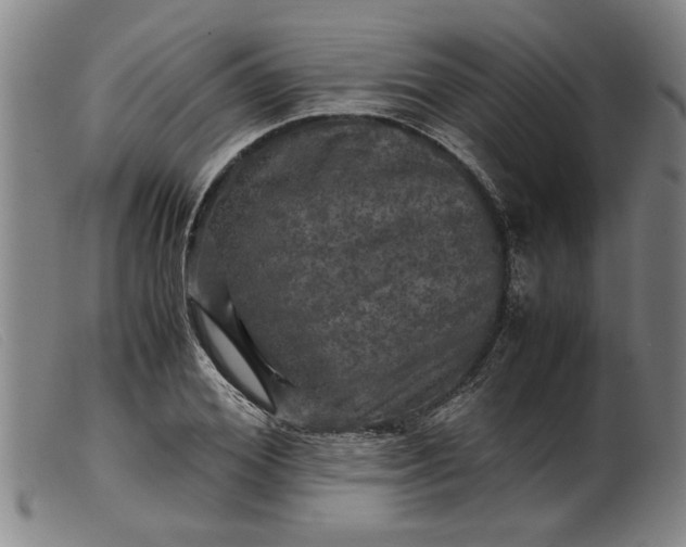 X0000099410980200805231600