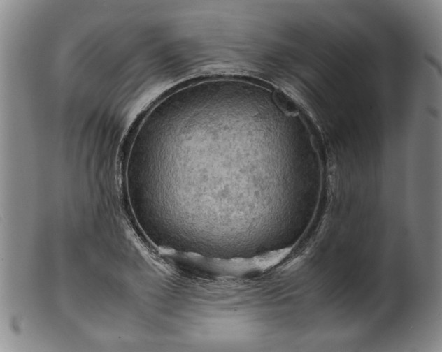 X0000099410981200805231600