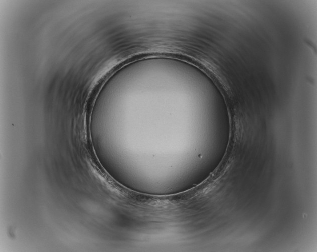 X0000099410982200805231600