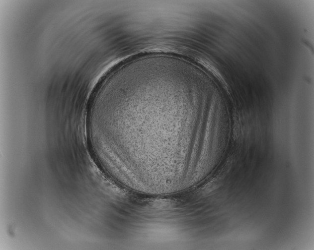 X0000099410984200805231600