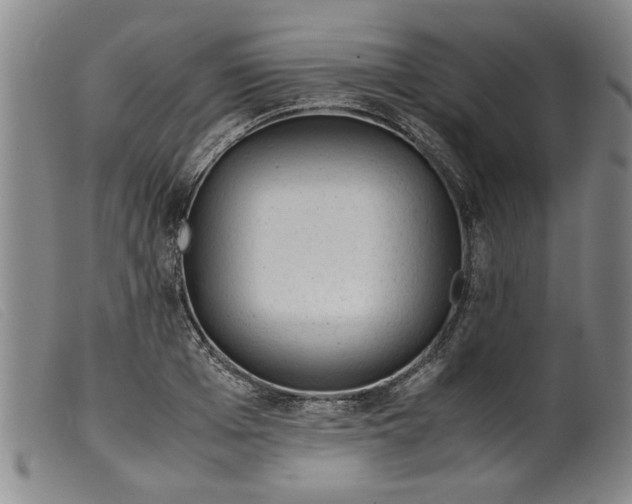 X0000099410985200805231600