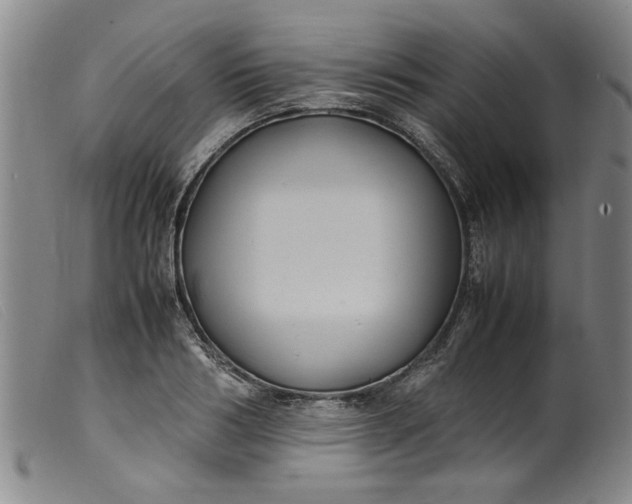 X0000099410986200805231600