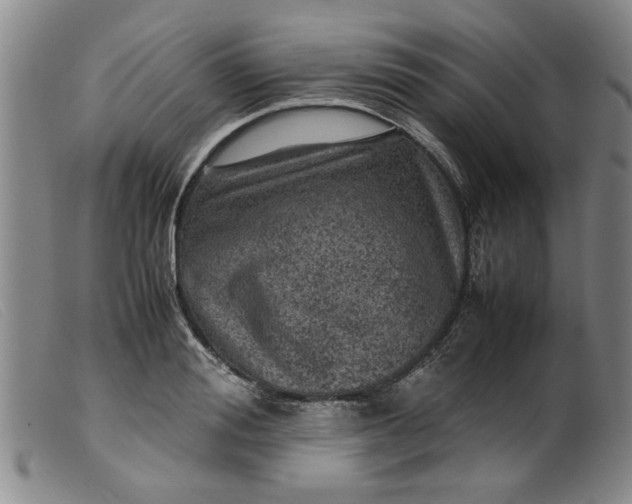 X0000099410988200805231600