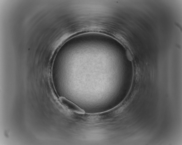 X0000099410989200805231600