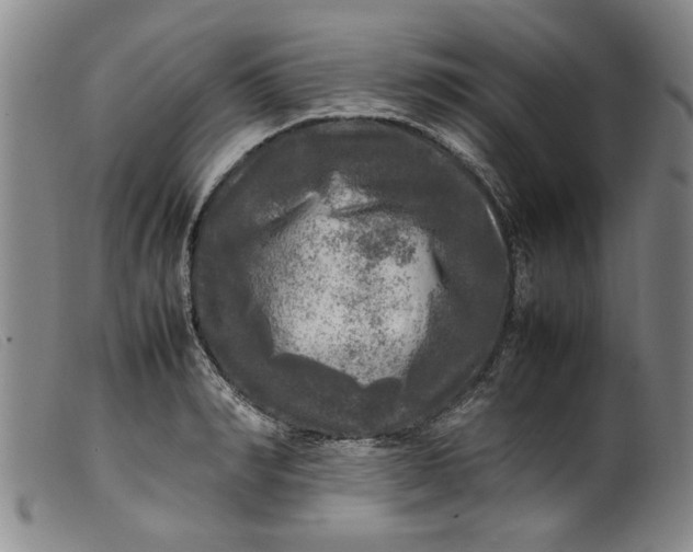 X0000099410990200805231600