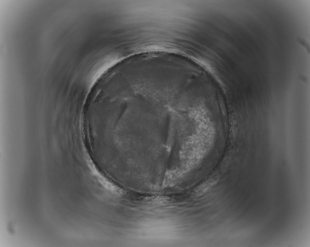 X0000099410991200805231600