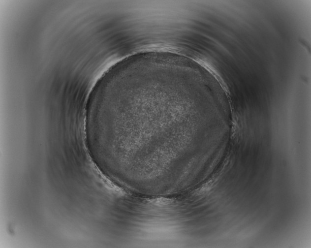 X0000099410992200805231600