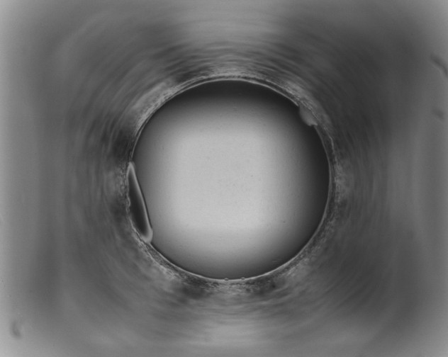 X0000099410993200805231600