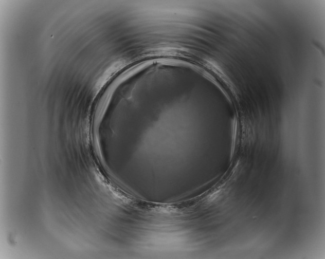 X0000099410994200805231600