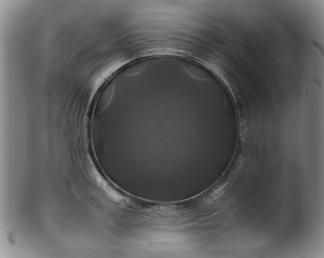 X0000099410995200805231600