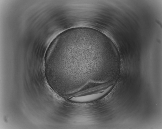 X0000099410996200805231600