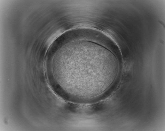 X0000099410997200805231600