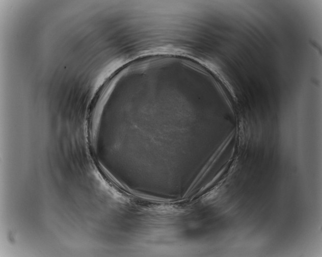 X0000099410998200805231600