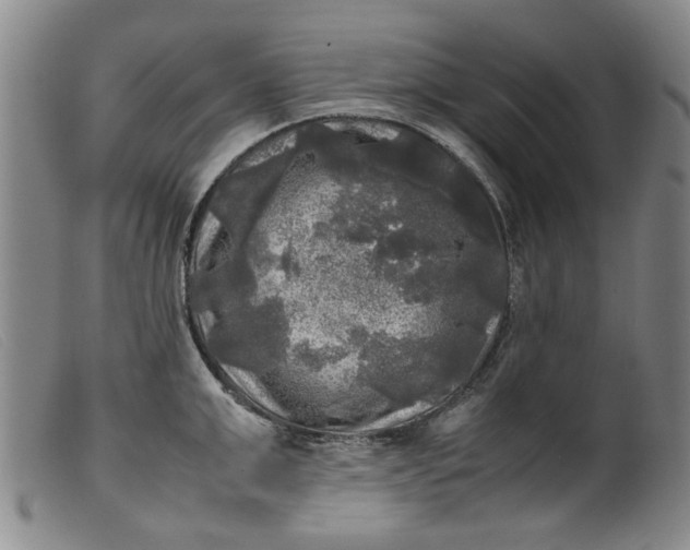 X0000099410999200805231600