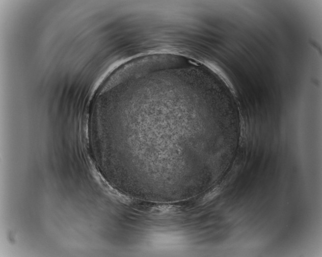 X0000099411000200805231600