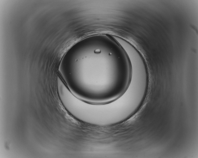 X0000099411001200805231600