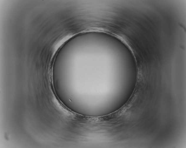 X0000099411003200805231600