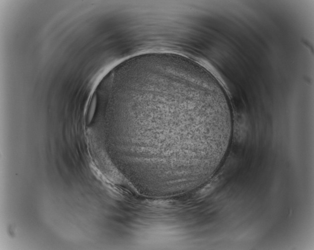 X0000099411004200805231600