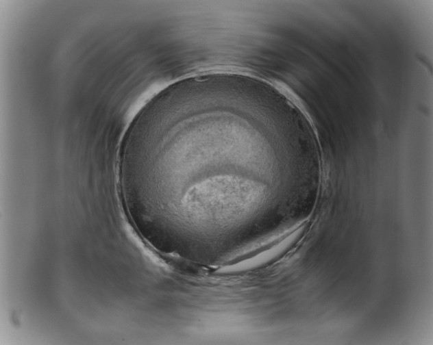 X0000099411005200805231600