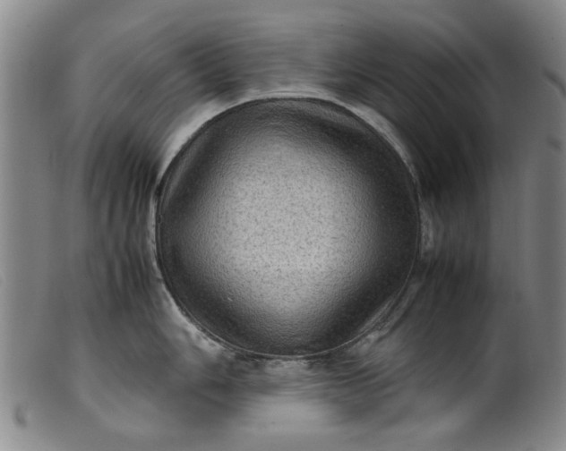 X0000099411006200805231600