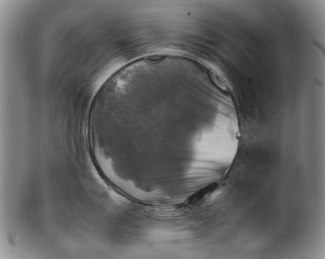 X0000099411007200805231600