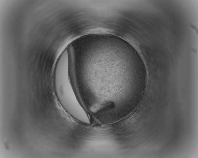 X0000099411008200805231559