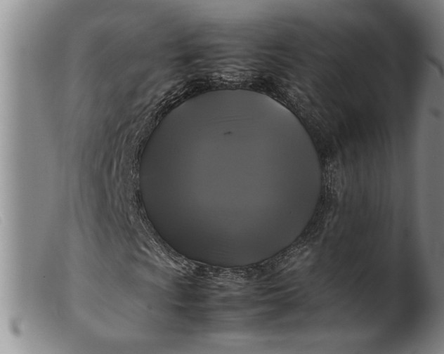 X0000099411009200805231559