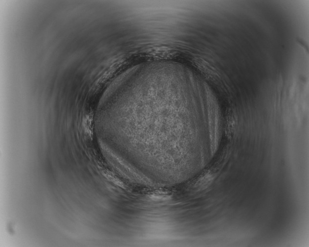 X0000099411010200805231559