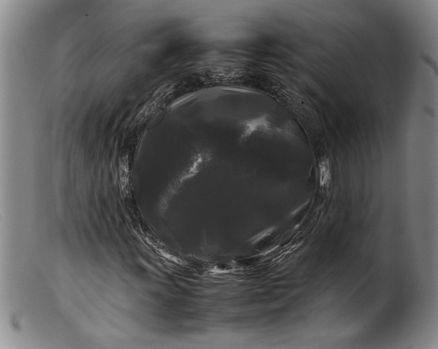 X0000099411011200805231559