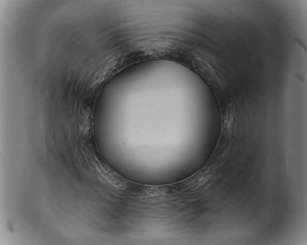 X0000099411012200805231559