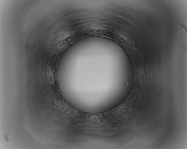 X0000099411013200805231559