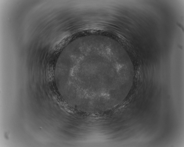 X0000099411014200805231559