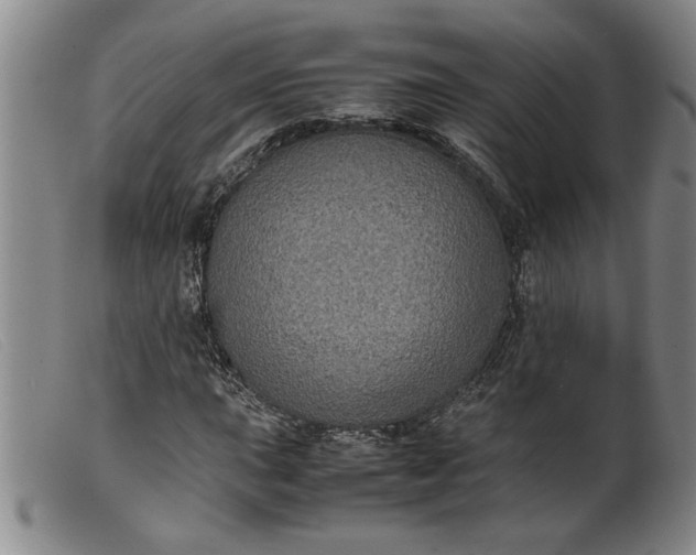 X0000099411015200805231559