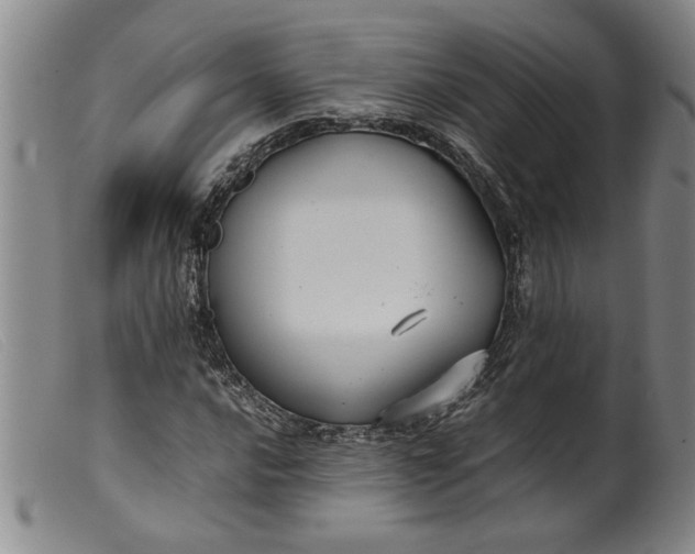 X0000099411016200805231559