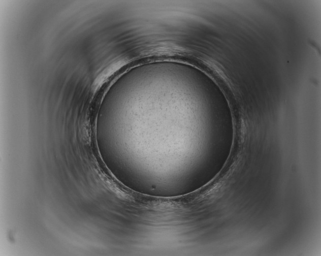 X0000099411018200805231559