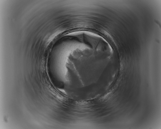 X0000099411019200805231559