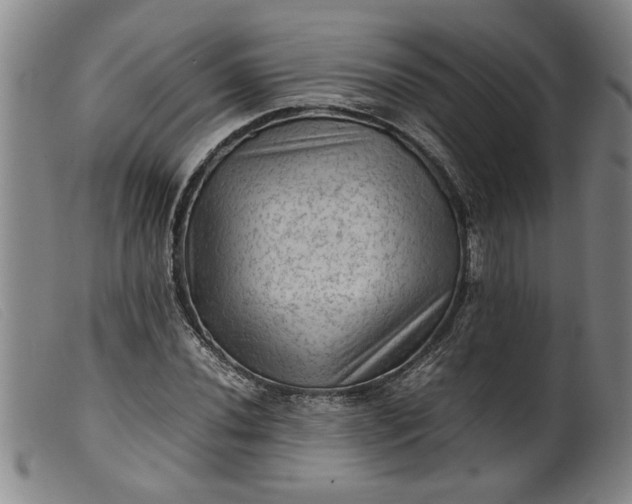 X0000099411020200805231559