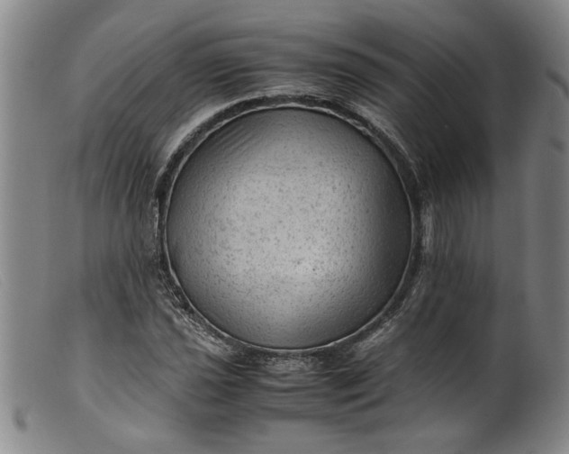 X0000099411021200805231559