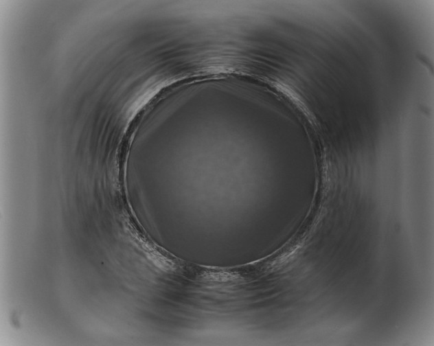 X0000099411023200805231559