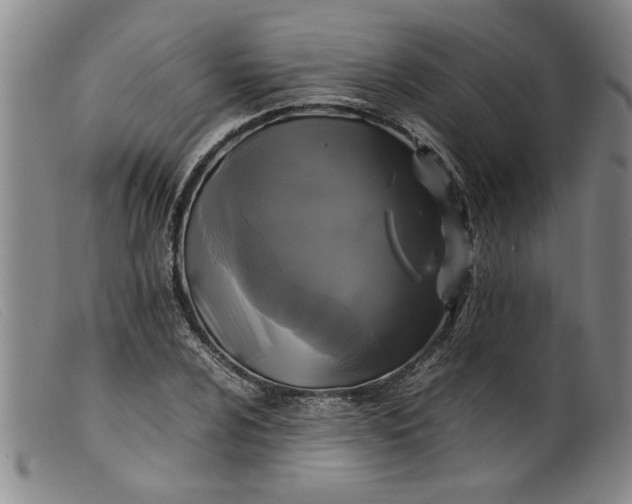 X0000099411024200805231559