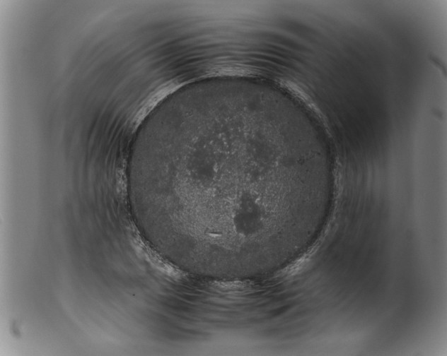 X0000099411025200805231559