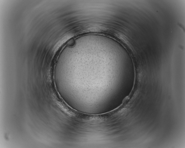 X0000099411026200805231559