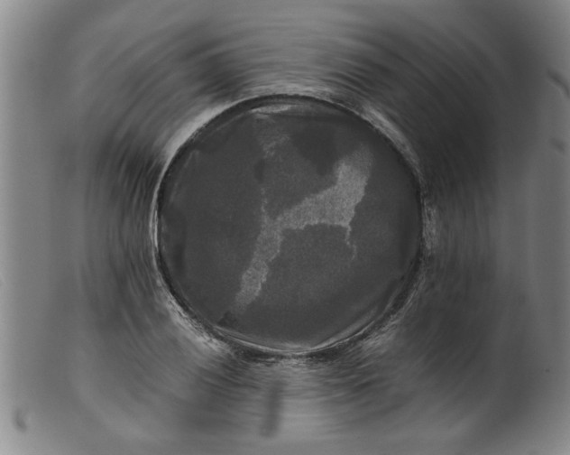 X0000099411028200805231559